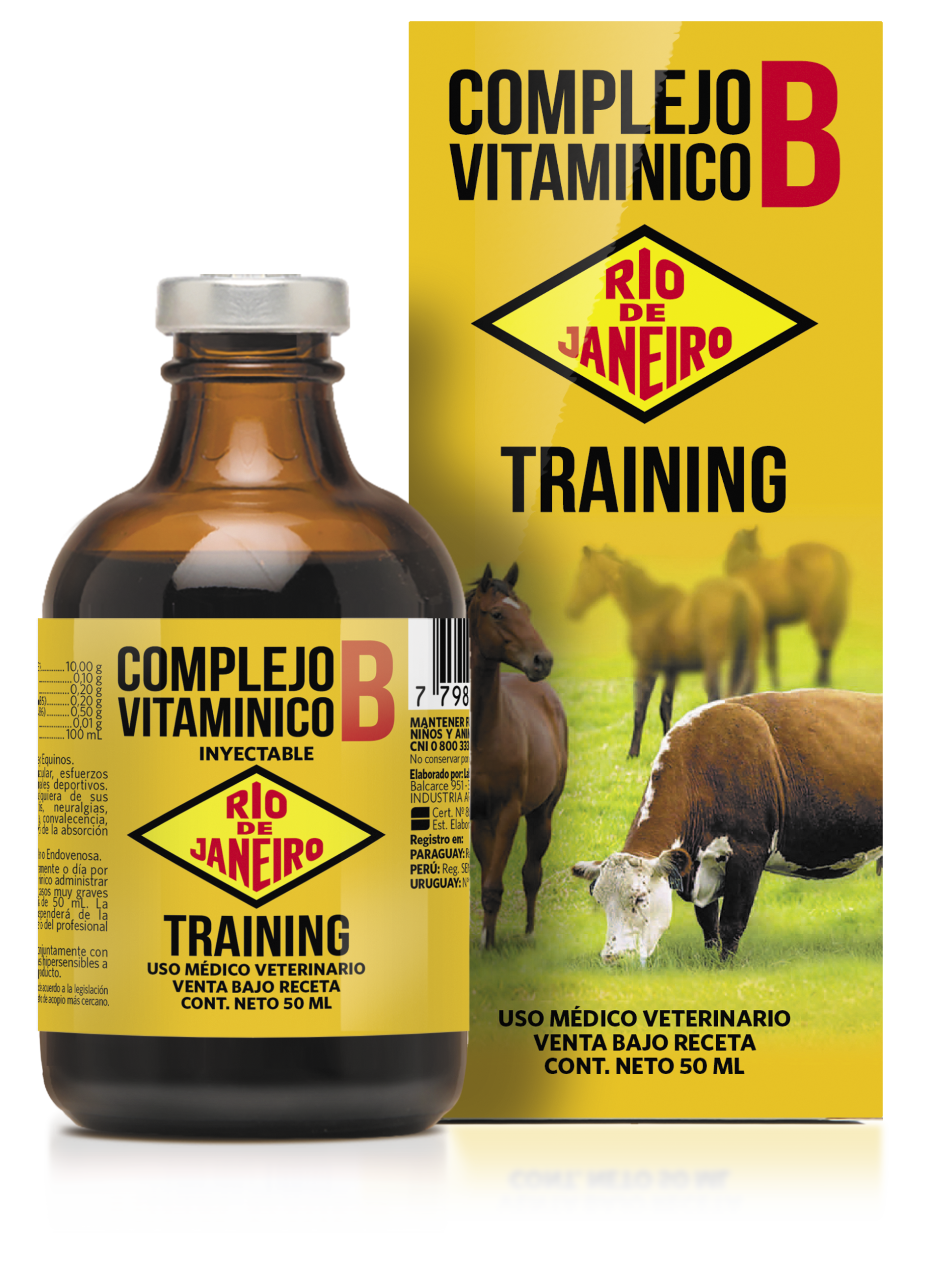 Complejo vitamínico B training Rio de Janeiro