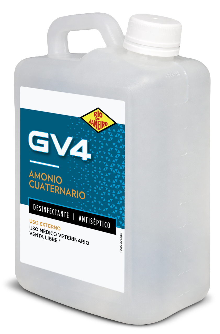 GV 4