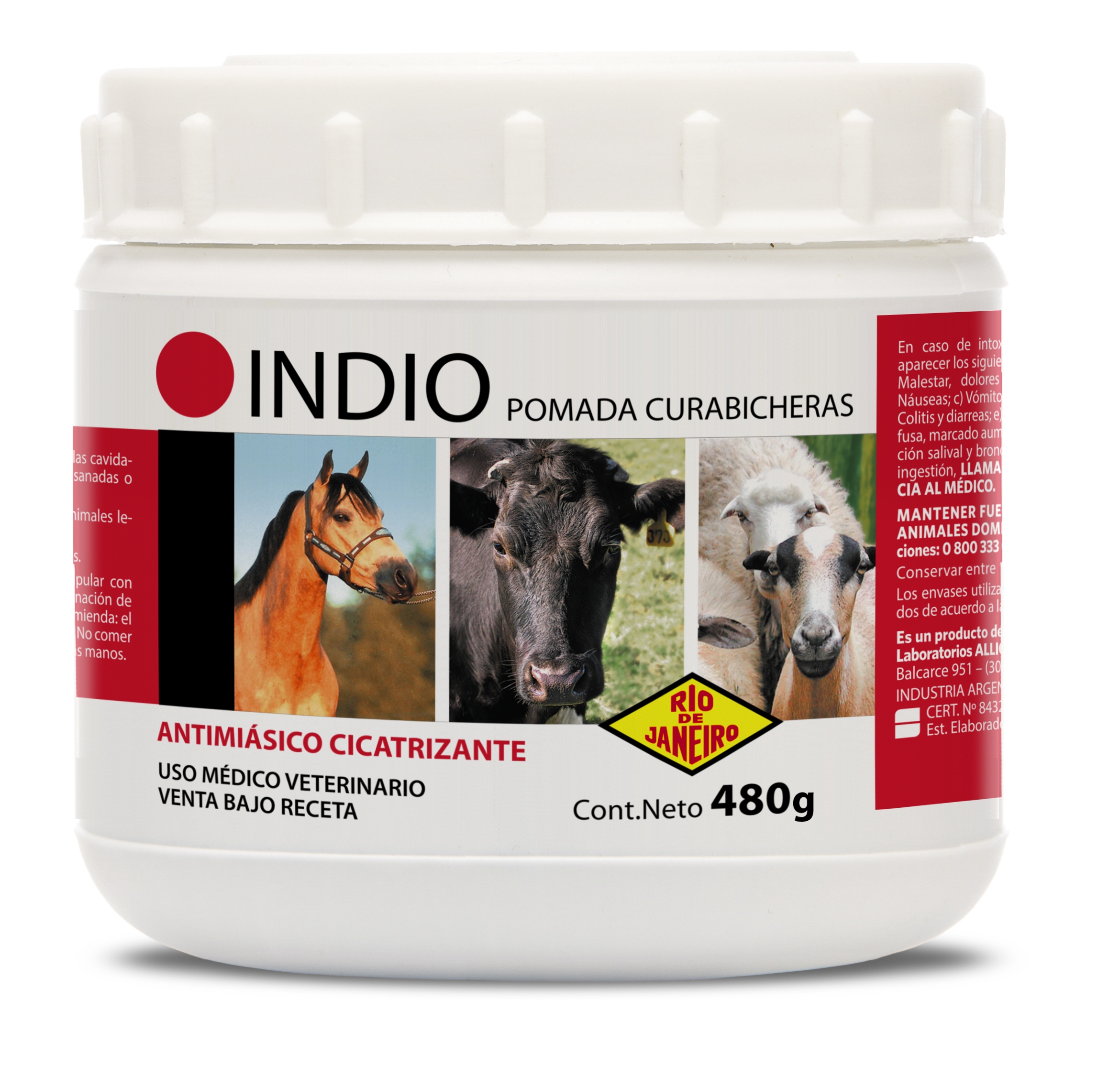 Indio curabicheras