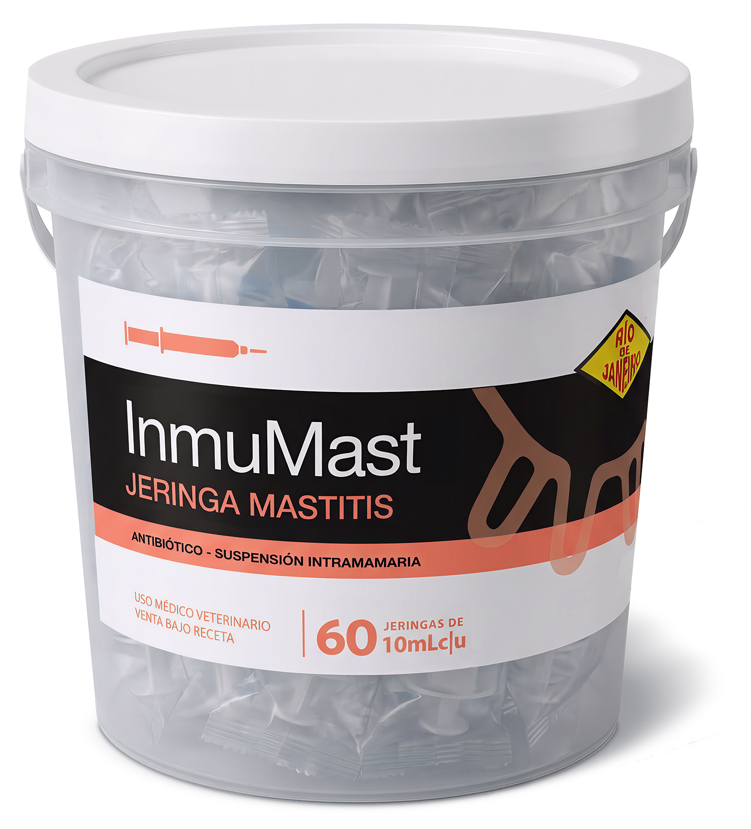 Inmumast