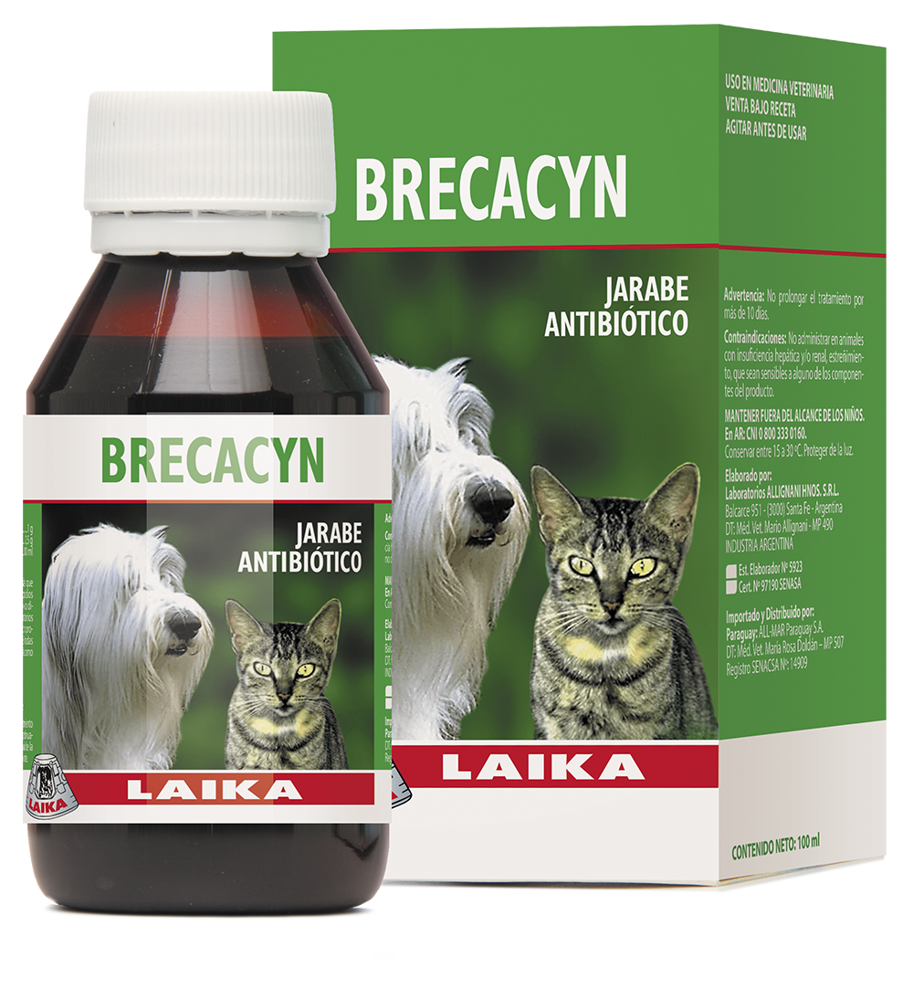 Brecacyn Laika Jarabe