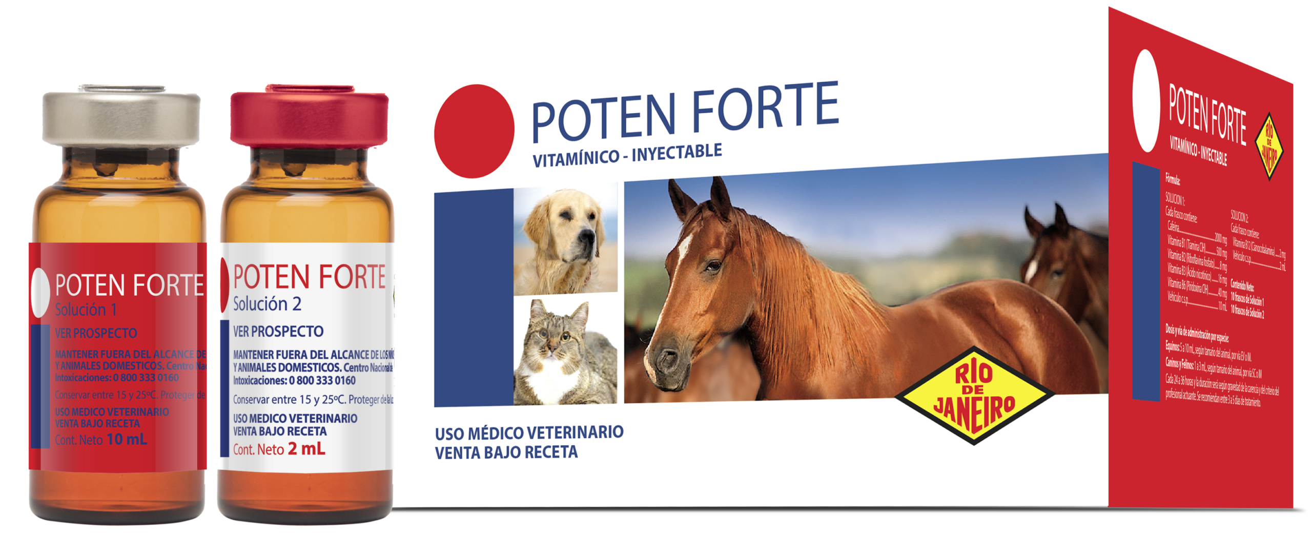Poten Forte